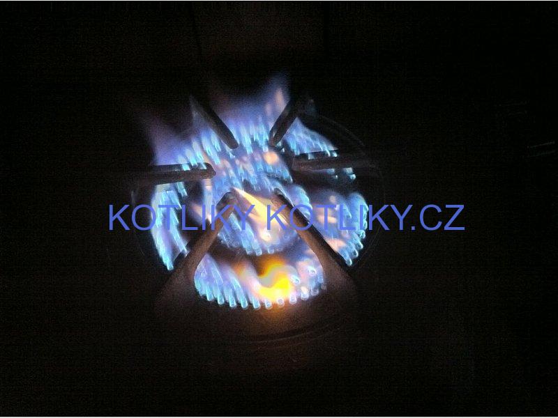 Plynový vařič T.G. WOK tříhořákový 9,2kW 